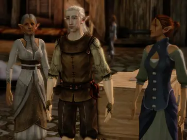 City Elf Origin, Dragon Age Wiki