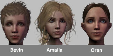 Dragon Age Origins Amalia