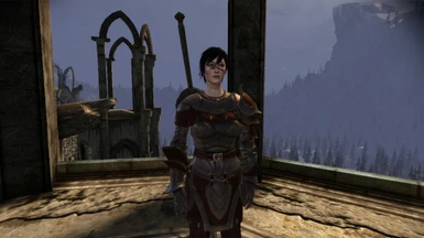 Hawke with greatsword, with blood smear