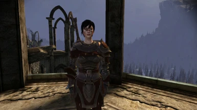 Hawke with sword and shield, with blood smear