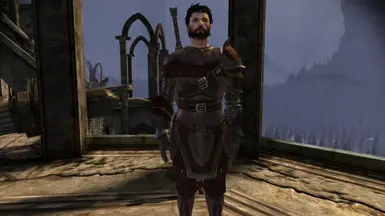 Male Hawke with sword and shield, no blood smear