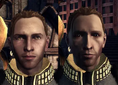 Dragon Age: Origins - Awakening companions