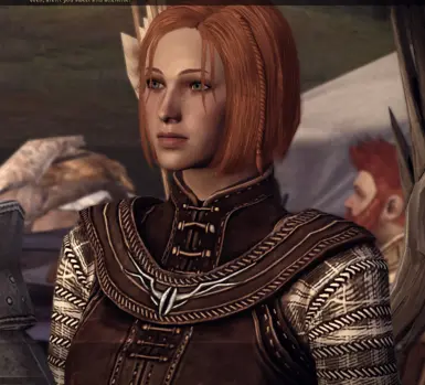 dragon age origins retexture