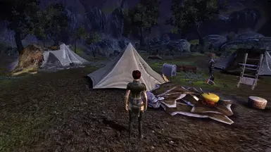 dragon age origins camp storage