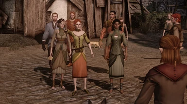 With Elves of Ferelden and the HD addon