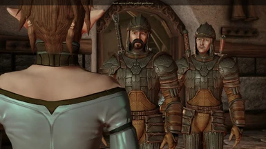 City Elf - Guards with Denerim Scale Armor seem to only available if you pick Female City Elf