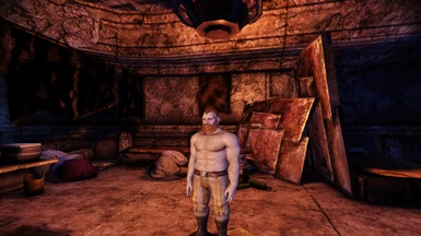 Hairy males with Underwear pants at Dragon Age: Origins - mods and community