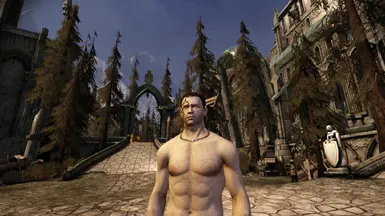 underwear pants file - tmp7704 mod for Dragon Age: Origins - Mod DB