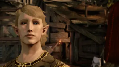 Dragon age city elf origin