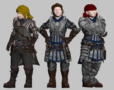 Grey Warden Armour Pack at Dragon Age 2 Nexus - mods and community