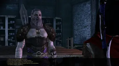 Mage Origin Dialogue Tweaks at Dragon Age: Origins - mods and community