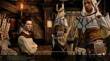 Mage Origin Dialogue Tweaks at Dragon Age: Origins - mods and community