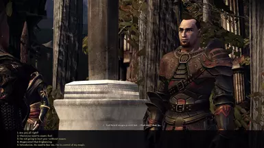 Jory Ex 2 using Dalish Mage mod 