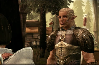 Close up view with Zevran's skin tone
