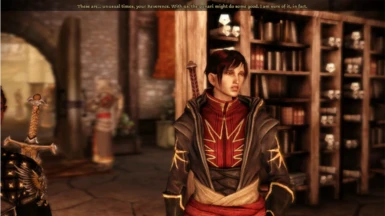 Another Asian Leliana Morph at Dragon Age: Origins - mods and community