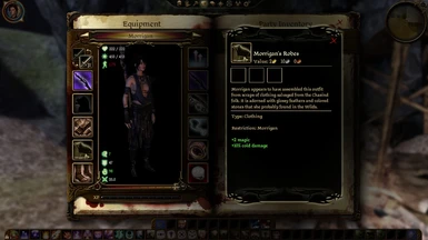 Morrigan's Robes inventory; note appearance