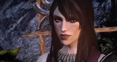 dragon age origins нексус мод