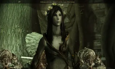 Lady of the forest Mesh replacer at Dragon Age: Origins - mods and community