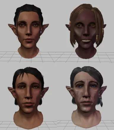 Warden Presets at Dragon Age: Origins - mods and community