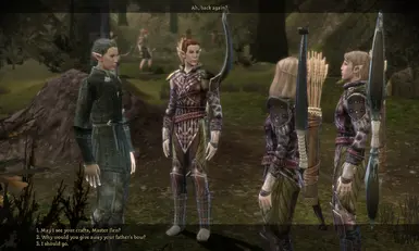 Essential Mods for Dragon Age: Origins – GND-Tech