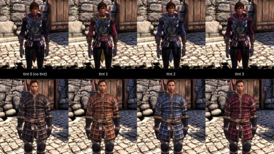 Imported Armor variations