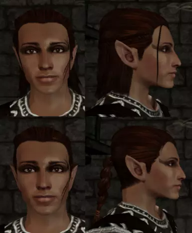 Zevran - Dark Brown / Braided Hair