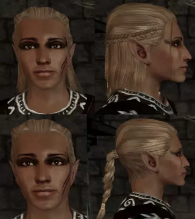 Zevran - Original Hair Colour