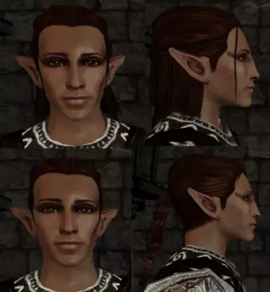 Elf Update Zevran - Dark Brown / Braided Hair
