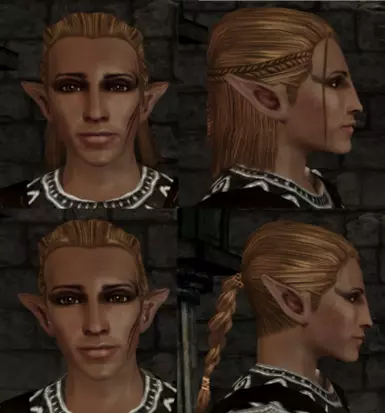 Elf Update Zevran - Dark Blond / Braided Hair