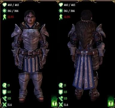 Origin Unique Grey Warden armour