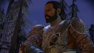 Duncan - Dragon Age Origins Wiki - Neoseeker