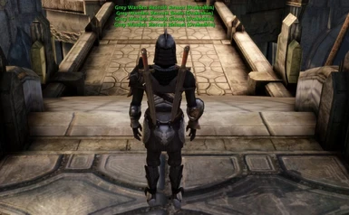 Grey Wardens of Ferelden Recruit Armor at Ostagar (and optional rebalance)