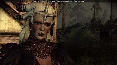 Flemeth, Dragon Age Wiki