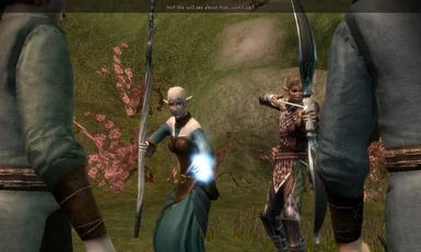 Dragon Age Origins - Elven Mage (Mod) Dalish Origin - Getting Conscripted  by Duncan 