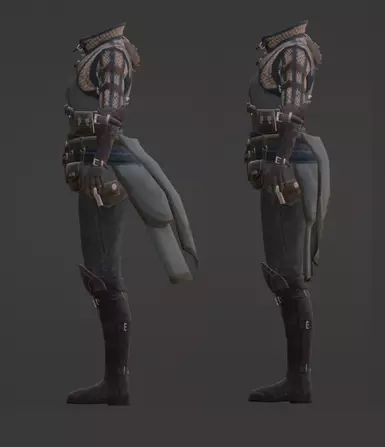 before and after (human female)