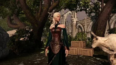 Surana Circle Mage Robe at Dragon Age: Origins - mods and community