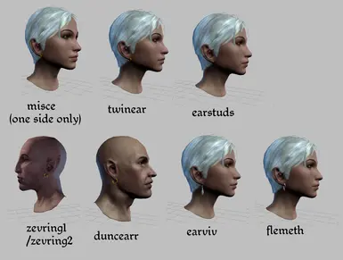 Earrings - Accessory for Beard Slot