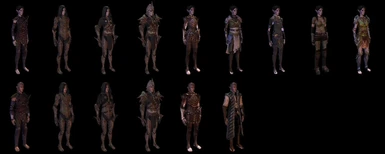 Dalish Armor and Robe Replacements  (Preview with The Guardians of Cadash Thaig Recolour)