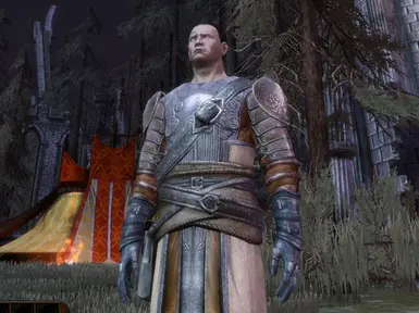 Original Duncan armor at Dragon Age: Origins - mods and community