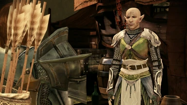 warden garments file - tmp7704 mod for Dragon Age: Origins - ModDB