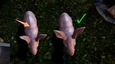 Update 1.2