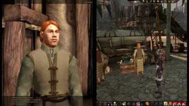 Dragon Age: Origins - mods and community