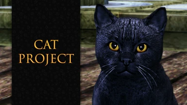 Cat Project