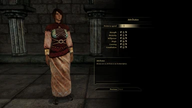 Noble Attire for a Mage Cousland