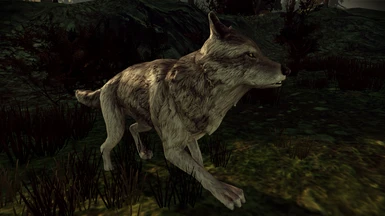 Wolf Replacer