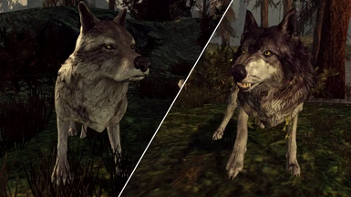 Wolf Replacers