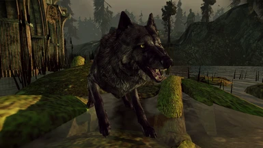 TW3 Alpha Wolf