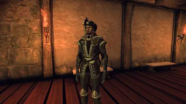 Part 2 - Teagan's new armor