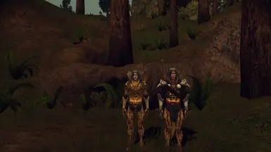 Part 3 - Elven Sentinel, rogue and warrior