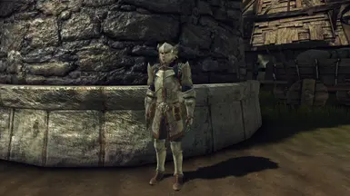 Part 3 - River Dane armor set